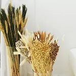 וילה Thetida